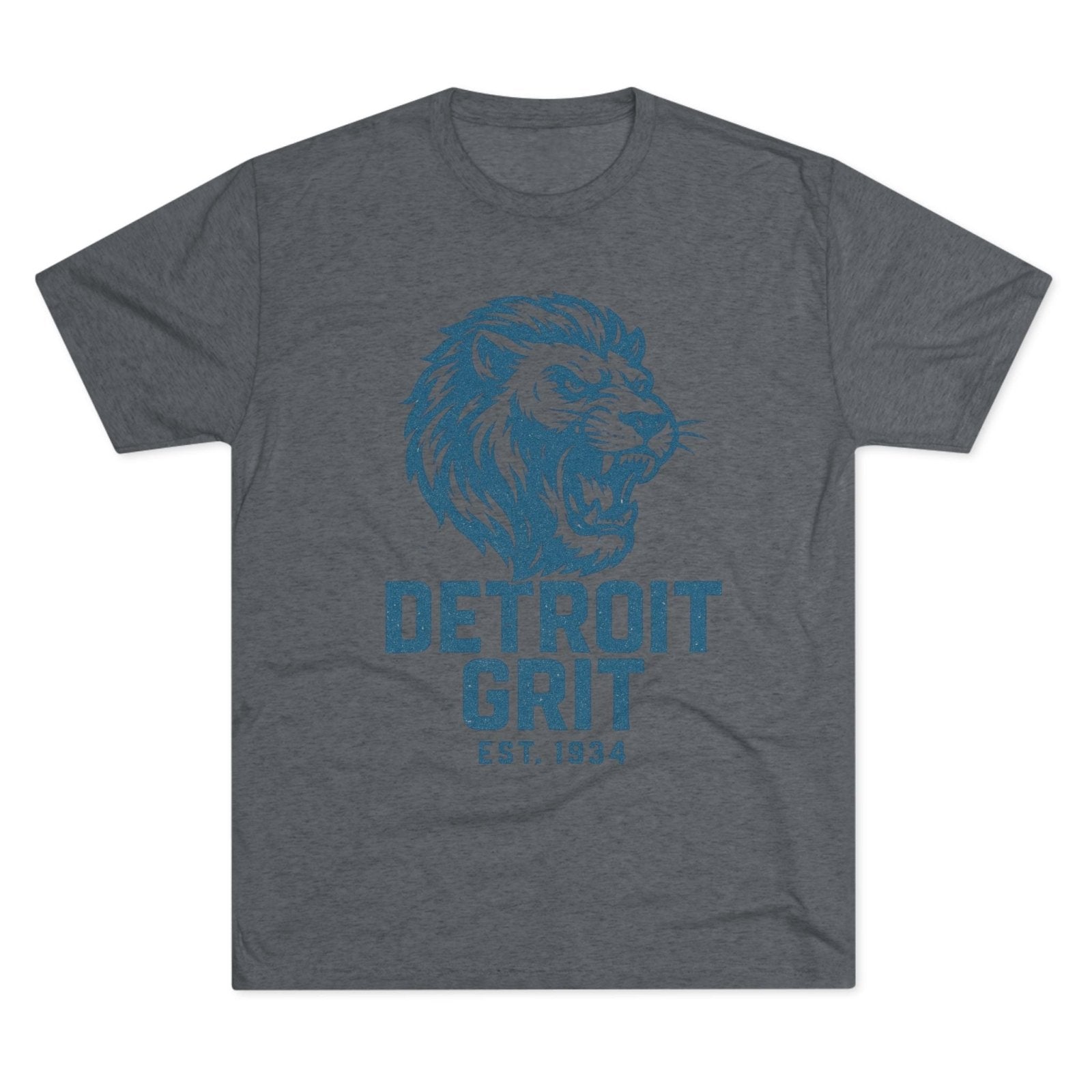 Detroit Lions Football T-Shirt, Motor City Tee, Detroit Pride Shirt, Detroit Sports Fan Apparel, Lions Game Day Top - Selden & Kingsley
